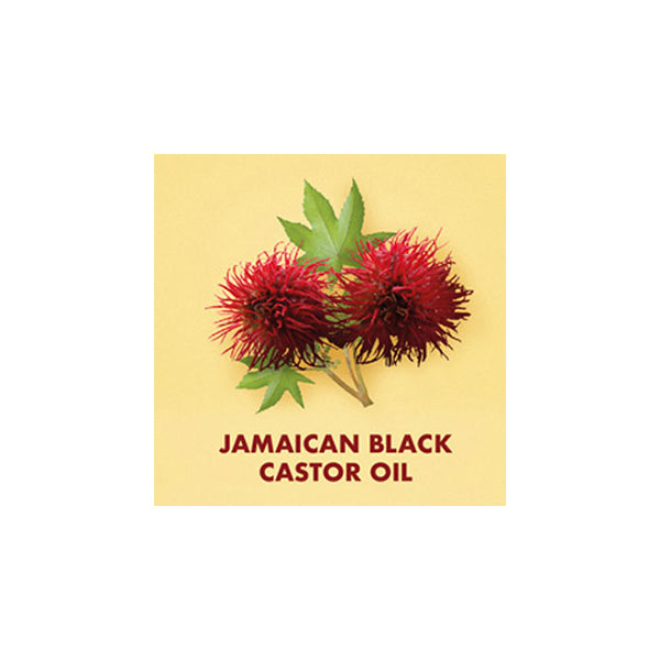 Shea Moisture Jamaican Black Castor Oil Leave-In Conditioner 11oz.