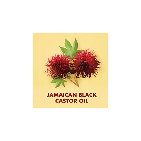 Shea Moisture Jamaican Black Castor Oil Treatment Masque 12oz.